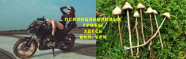 молекула духа Беломорск