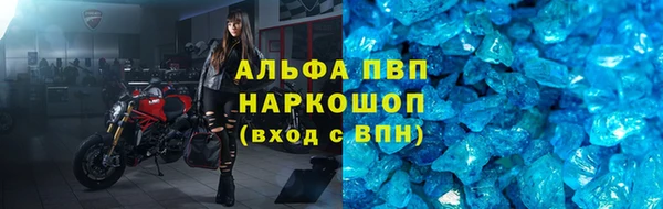 молекула духа Беломорск